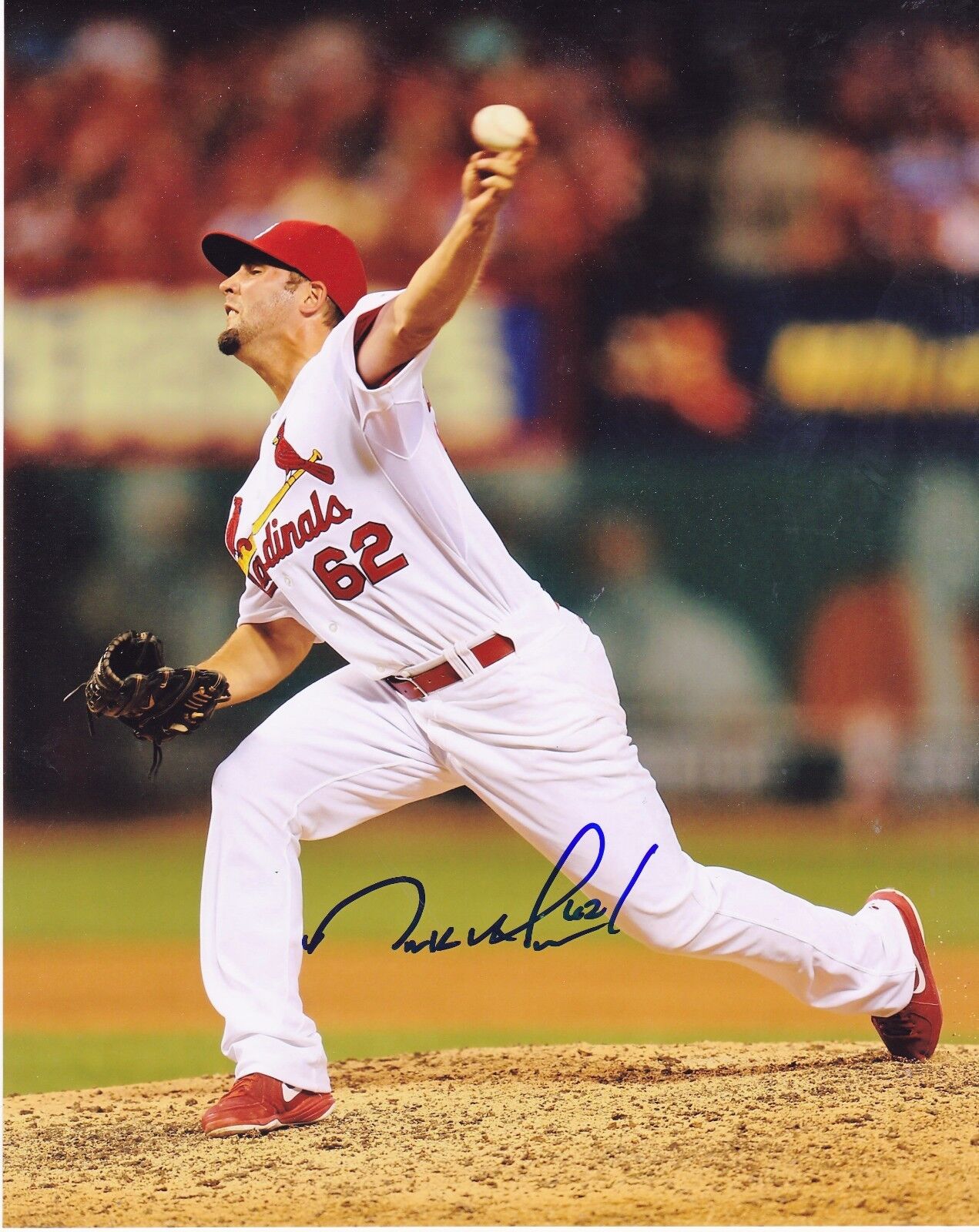 NICK GREENWOOD ST. LOUIS CARDINALS ACTION SIGNED 8x10