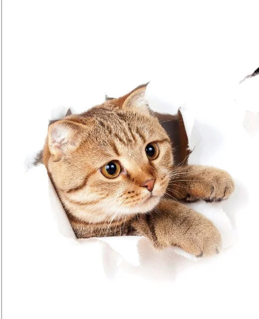 Cartoon Animal 3d Toilet Stickers on The Toilet Seat Cute Cats PVC Wall Sticker Bathroom Refrigerator Door Decor Stickers Decals