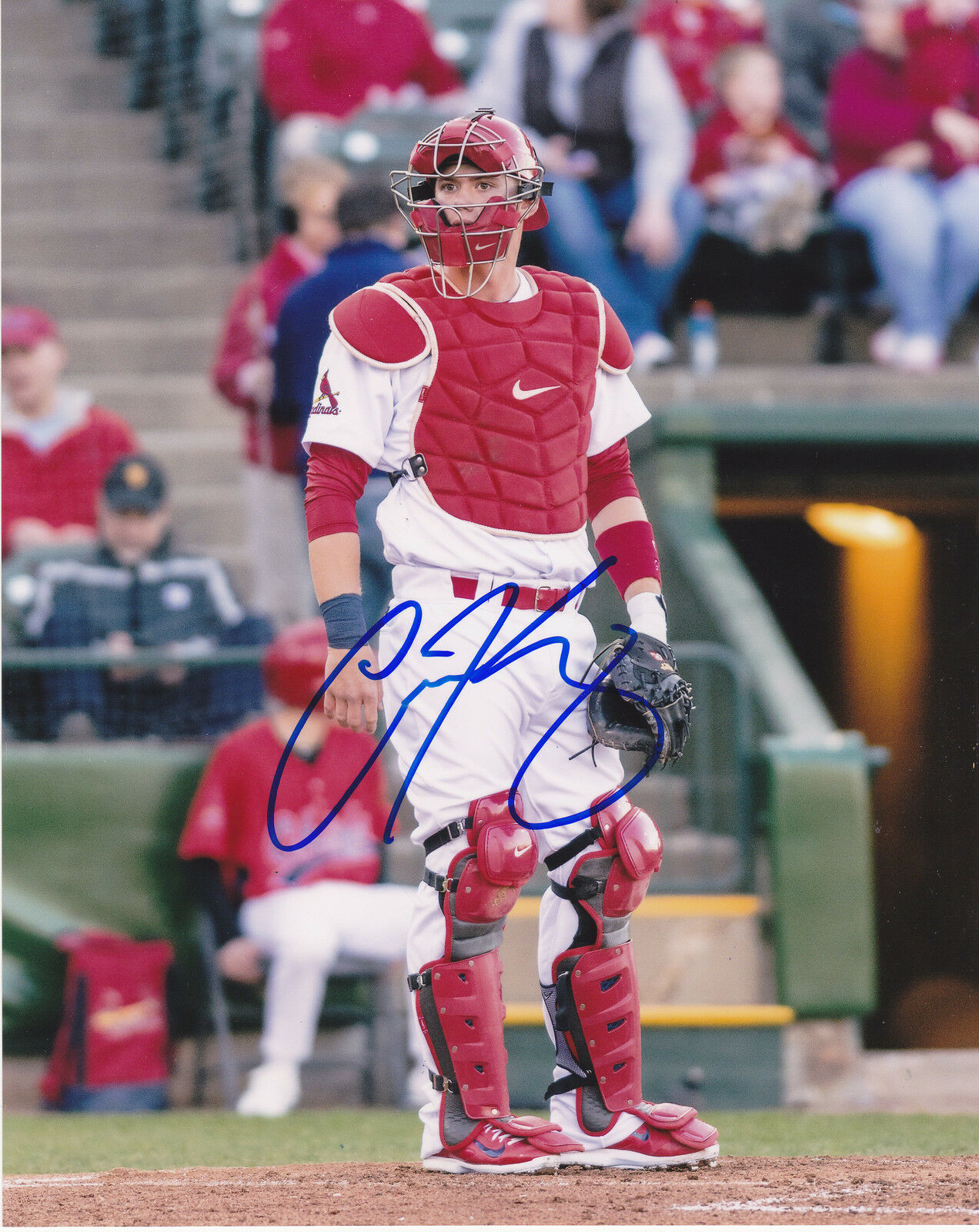 CARSON KELLY ST. LOUIS CARDINALS ACTION SIGNED 8x10