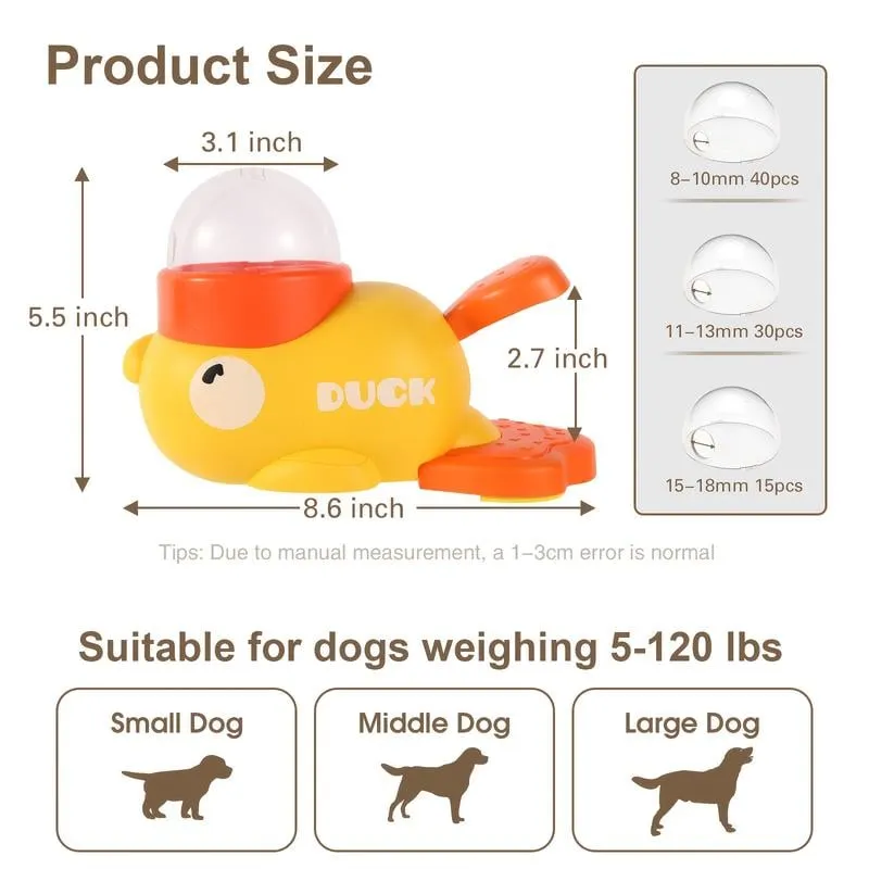 Sized for Everyday Small-Dog Play