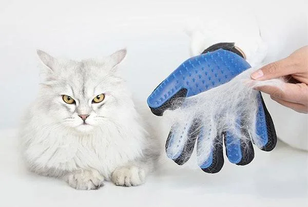 groomly the amazing pet grooming glove