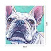 uk.everydayedeals (Limited Stock)Paint By Number - Oil Painting -  Bulldog (40*40Cm)