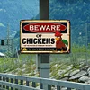 Beware Of Chickens No Responsible For Injury Or Death You Have Been Warned - Vintage Metal Signs - 20*30cm/30*40cm - Warning&Farm