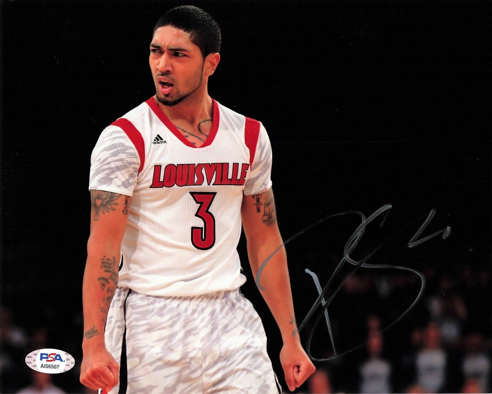 Peyton Siva signed 8x10 Photo Poster painting PSA/DNA Louisville Autographed