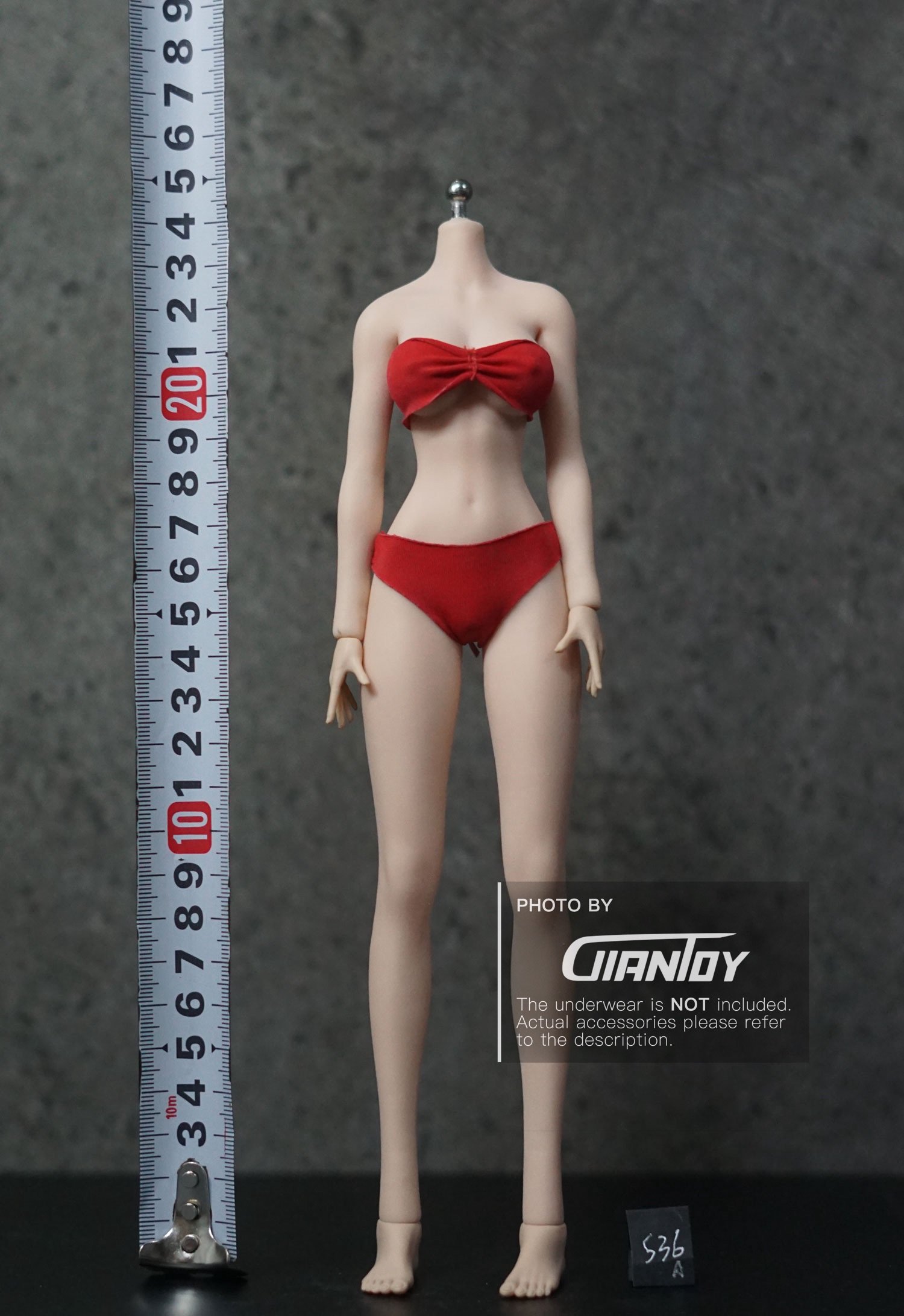 TBLeague Anime Girls S36A S37A Hour-glass Large-Bust Seamless Body 1/6-shopify