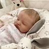 Babiesprincess Lifelike Reborn Baby Doll, Babiesprincess