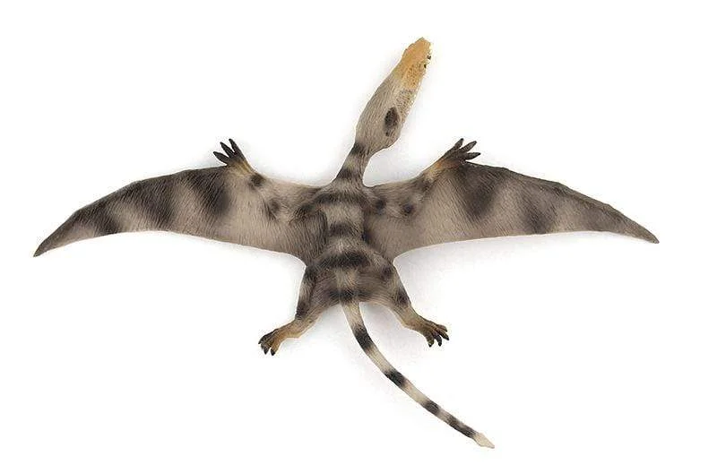 13‘’ Realistic Pterosaur Dinosaur Solid Action Figure Model Toy Decor