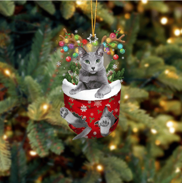 Russian Blue In Snow Pocket Ornament
