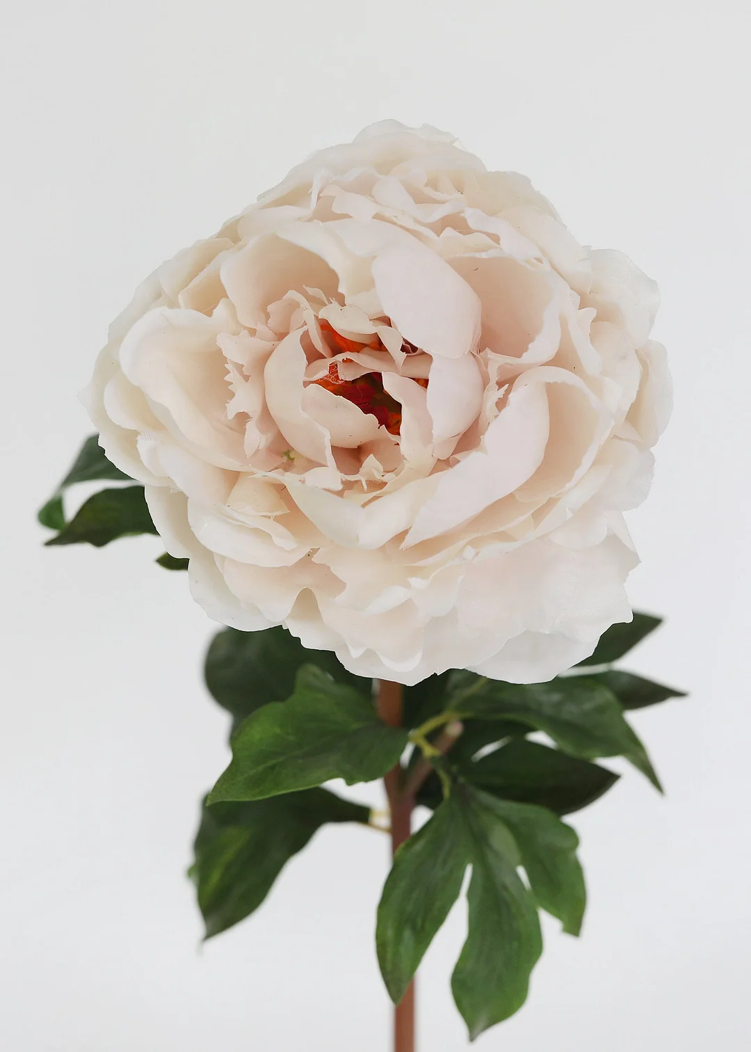 Pink Whisper Real Touch Peony - 20.5"