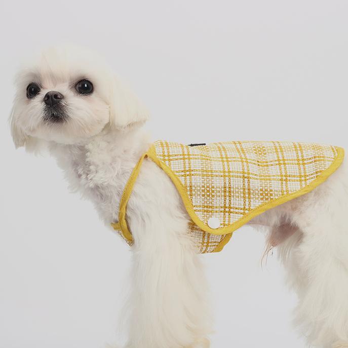 Yellow Suspenders For Dogs And Cats