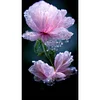 Diamond Painting-5D Full Round Drill Water Drop Flowers(40*70CM)
