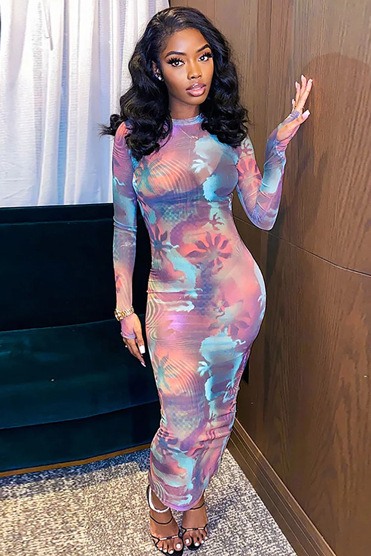 Mesh Pattern Print Long Sleeve Bodycon Vacation Midi Dress