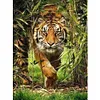 Diamond Painting -DIY Round Drill Tiger Poster
