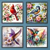 (US Local)Bird-Paint By Numbers Kit(30x30cm)