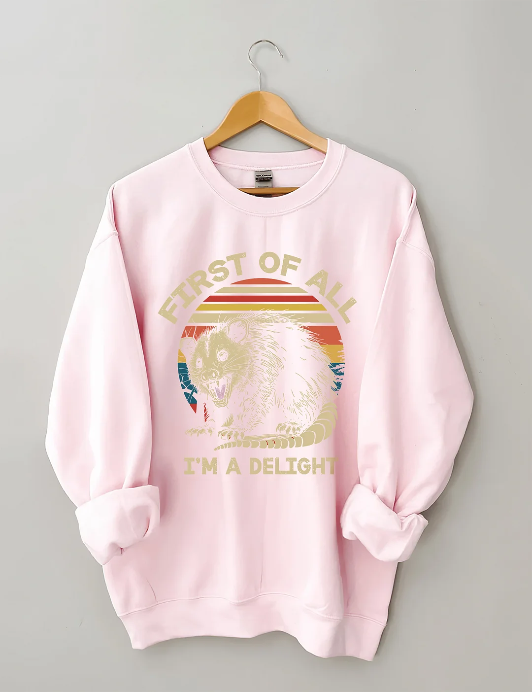 First Of All I'm A Delight Sarcastic Angry Opossum Lover Sweatshirt
