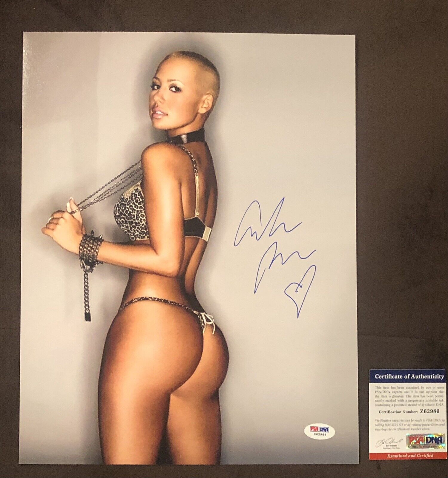 Amber Rose ADULT STAR Legend SIGNED 11x14 Photo Poster painting AUTOGRAPH Sexy Booty PSA COA