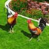 2PCS Chicken Sculpture Ornamental Rooster Decor Garden Statue Acrylic for Easter