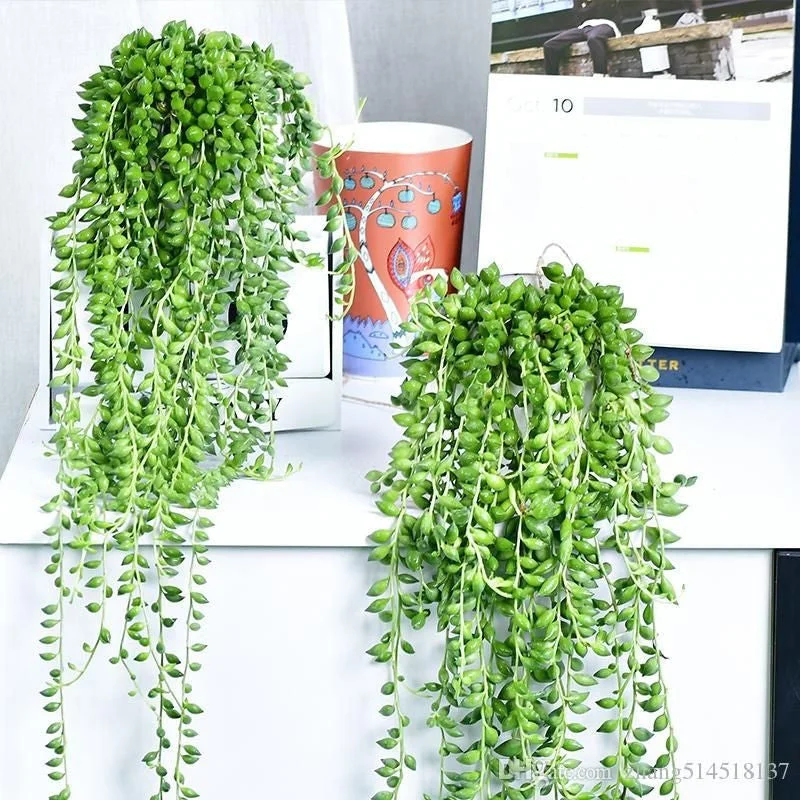 Pearl Chlorophytum Seeds