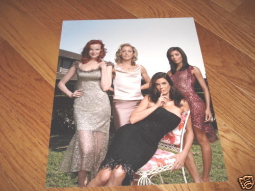Desperate Housewives Sexy 8x10 Cast Promo Photo Poster painting #3