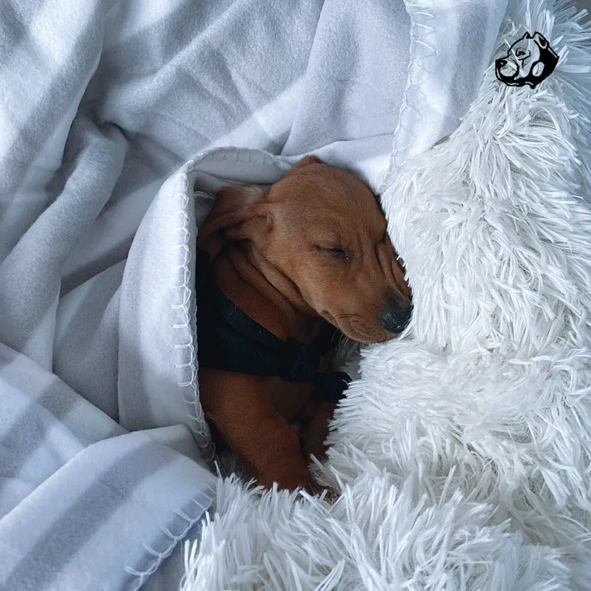 Calming Bed