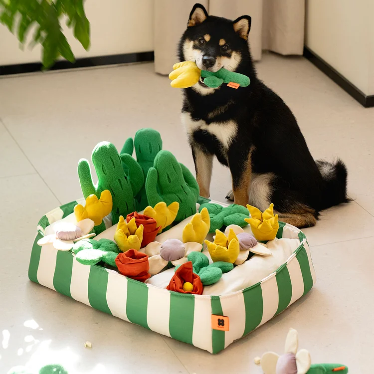 Handmade Succulent Garden Snuffle Mat Toy Dog Toy, Pet Toy
