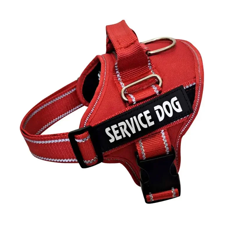 Personalized Dog Harness - Engrave Your Pet's Name