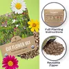 7,500 Fresh Pollinated Non-GMO Species Wildflower Seeds Package
