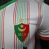 Joyfball 2025/2026 Player Version Palestine White Football Jersey 1:1 Thai Quality（The player version jersey is a bit tight, please pay attention to the size selection）