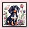Dachshund - 11CT Stamped Cross Stitch - 40*40cm - Dog