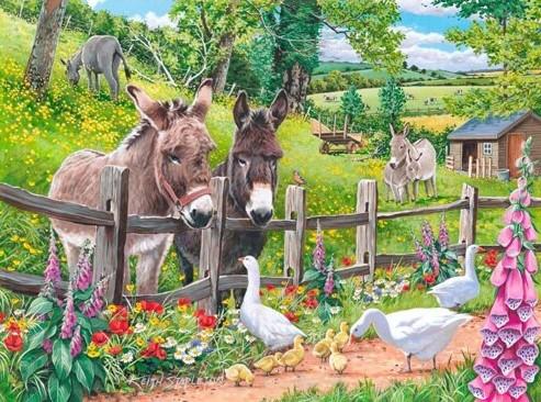 

Donkey Goose Farm – Paint By Numbers - 40*50CM, 501 Original