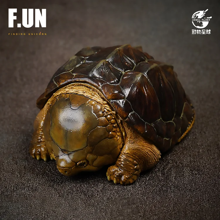 Animal Planet Buddha snapping turtle real snapping turtle big head tortoise black turtle tide  -aliexpress