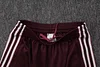 Joyfball 2025/2026 Bayern Munich pre-match training Jersey+Shorts  1:1 Thai Quality