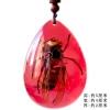 Insect Amber Pendant Natural Butterfly Specimen Insect Amber Necklace Children's Hanging Accessories