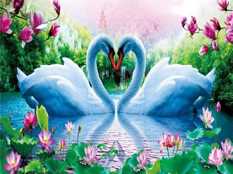 Diamond Painting - Full Round/Square Drill - Swan(30*40 - 50*60cm)