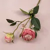 Autumn Vibe 2 Heads Burn Edge Stem Rose Artificial Flower