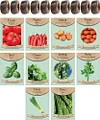 10 Variety Salsa Garden Seeds Kit Pack &ndash; Grow Your Own Fresh Ingredients