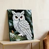 DIY Pearl Painting Owl for Home Wall Decor with Frame(30x40cm)