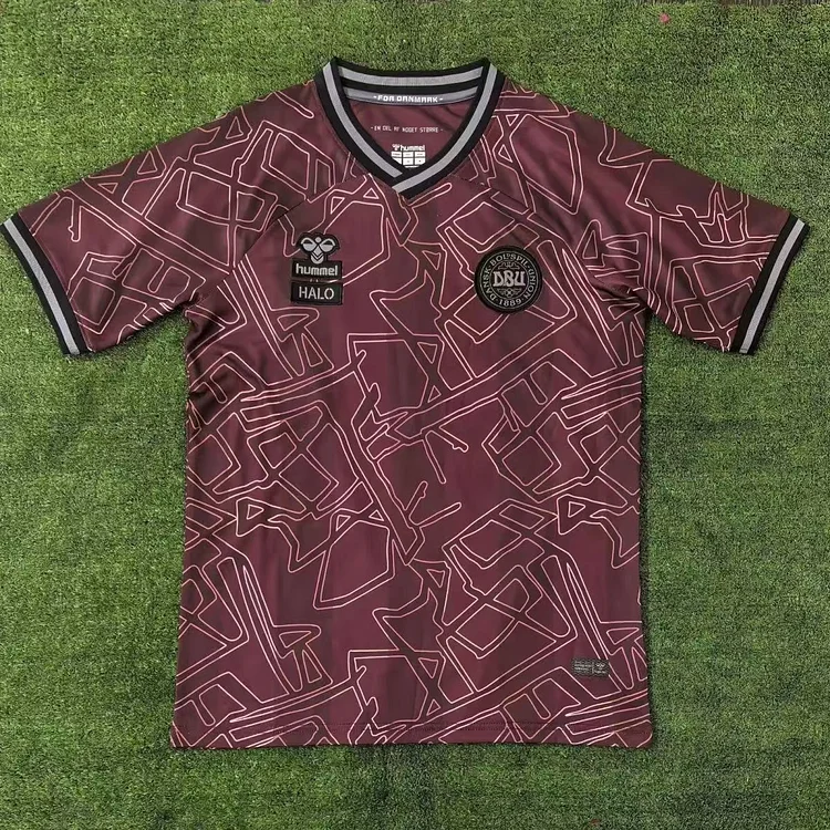 2024 Denmark Special Edition Football Jersey
