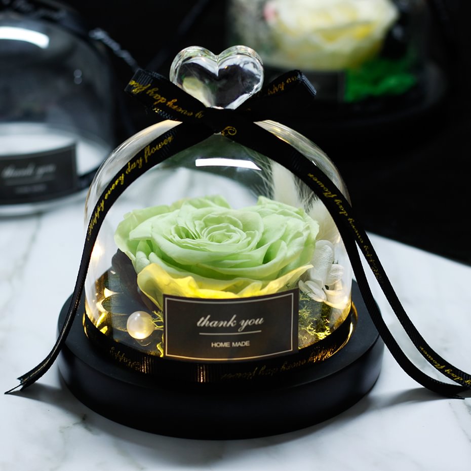 Beatea Preserved Rose with LED Light In Heart Glass Dome with Gift Package