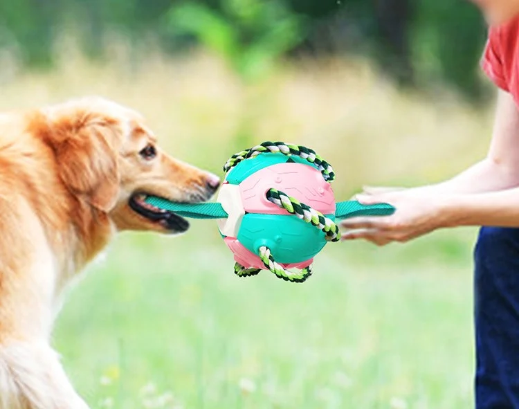 Multifunctional Outdoor Entertainment Dog Toys