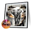 Elefant - Rundbohrer Diamant Malerei - 40 * 40cm