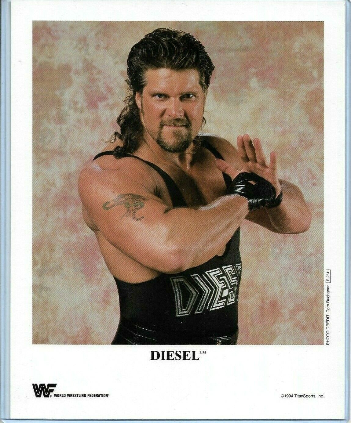 WWE DIESEL P-234 OFFICIAL LICENSED AUTHENTIC ORIGINAL 8X10 PROMO Photo Poster painting VERY RARE