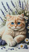 Luxury AB Velvet Diamond Painting Kit - Cat