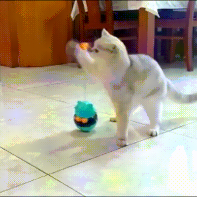 Interactive Cat Tumbler Food Dispensing Toy