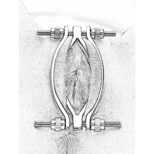pornhint Pornhint Adjustable Pussy Clamp Labia Clip Chastity Spreader Stretcher Vagina BDSM Game