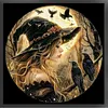 Witch Crow-14CT Stamped Cross Stitch 40*40cm tapestrymarket