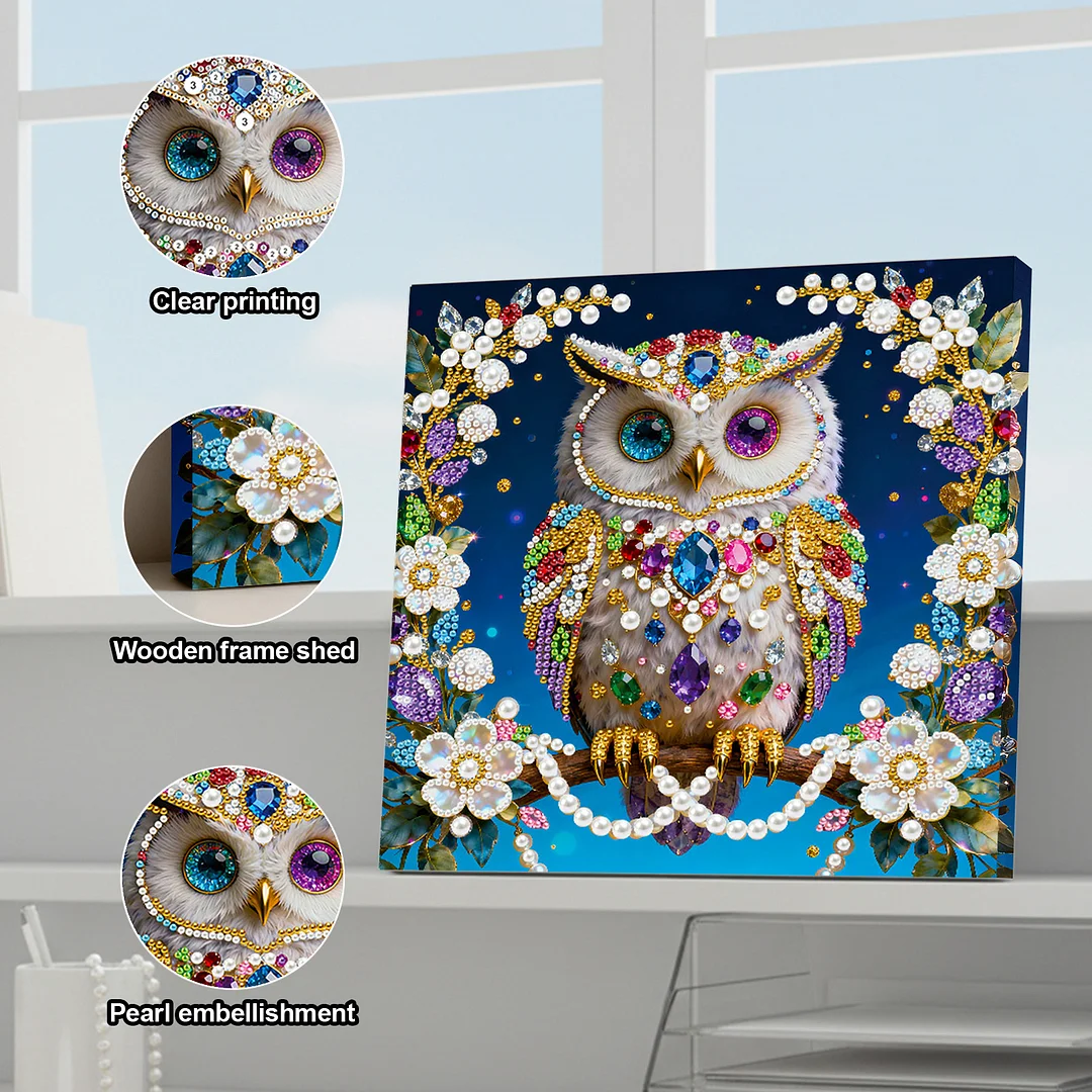 Owl DIY Pearl Art Diamond Painting Kit for Adults Home Decor 25x25cm With Frame
