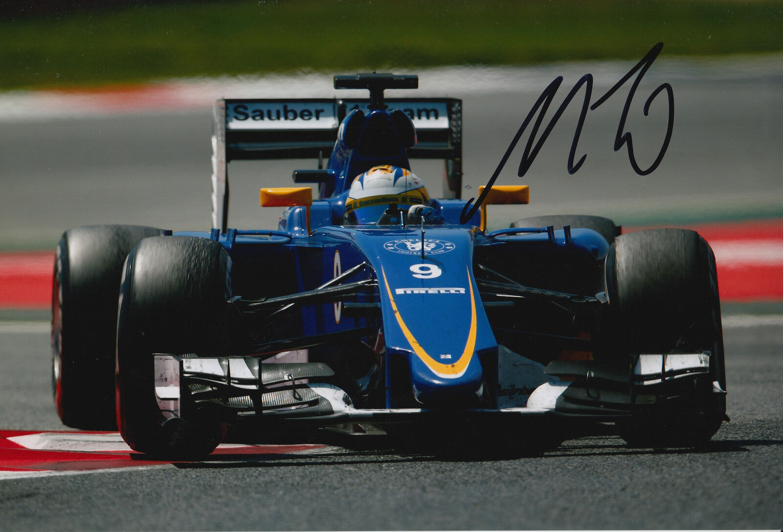 Marcus Ericsson Hand Signed 12x8 Photo Poster painting 2015 Sauber F1 8.