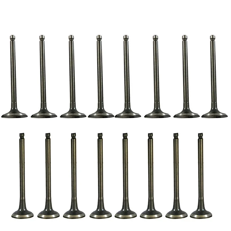 Silscvtt Intake Air-out Valves Replacement for 1996-2011 Hyundai Accent Kia Rio 1.5L 1.6L