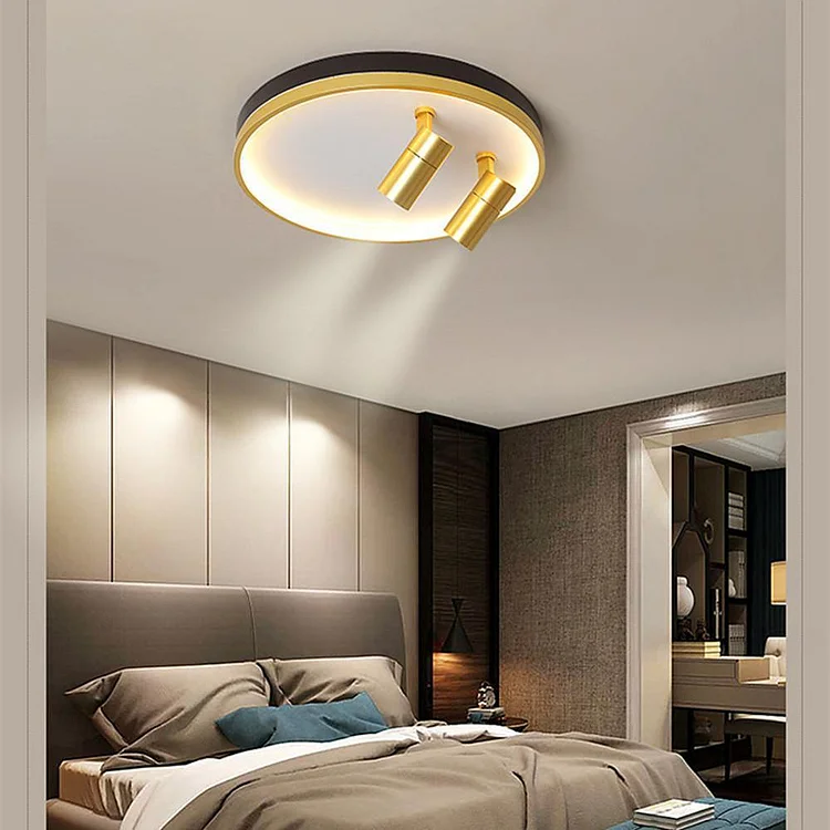 Lightning clearance ceiling modern